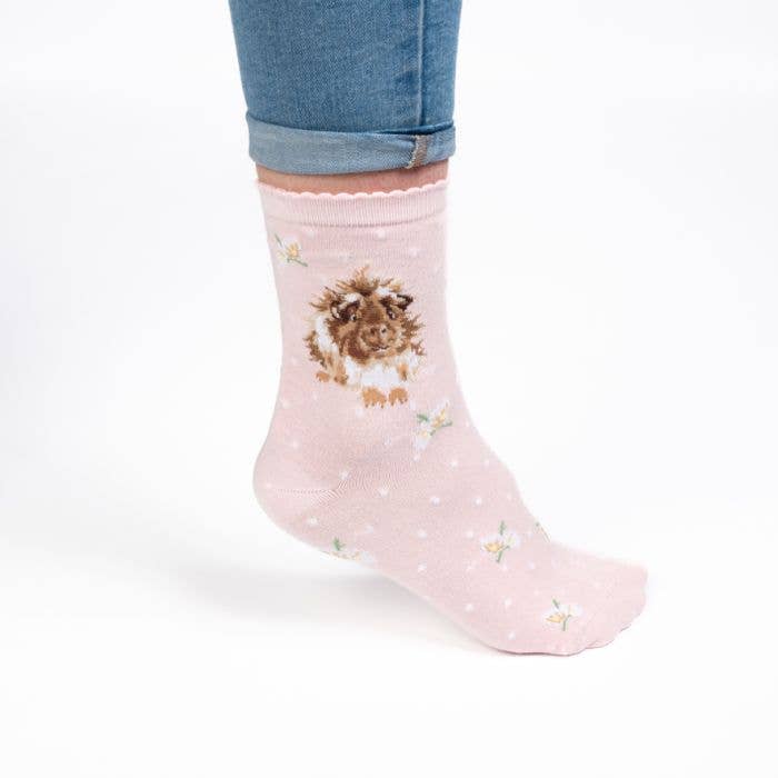 Socks - Guinea Pig: Grinny Pig