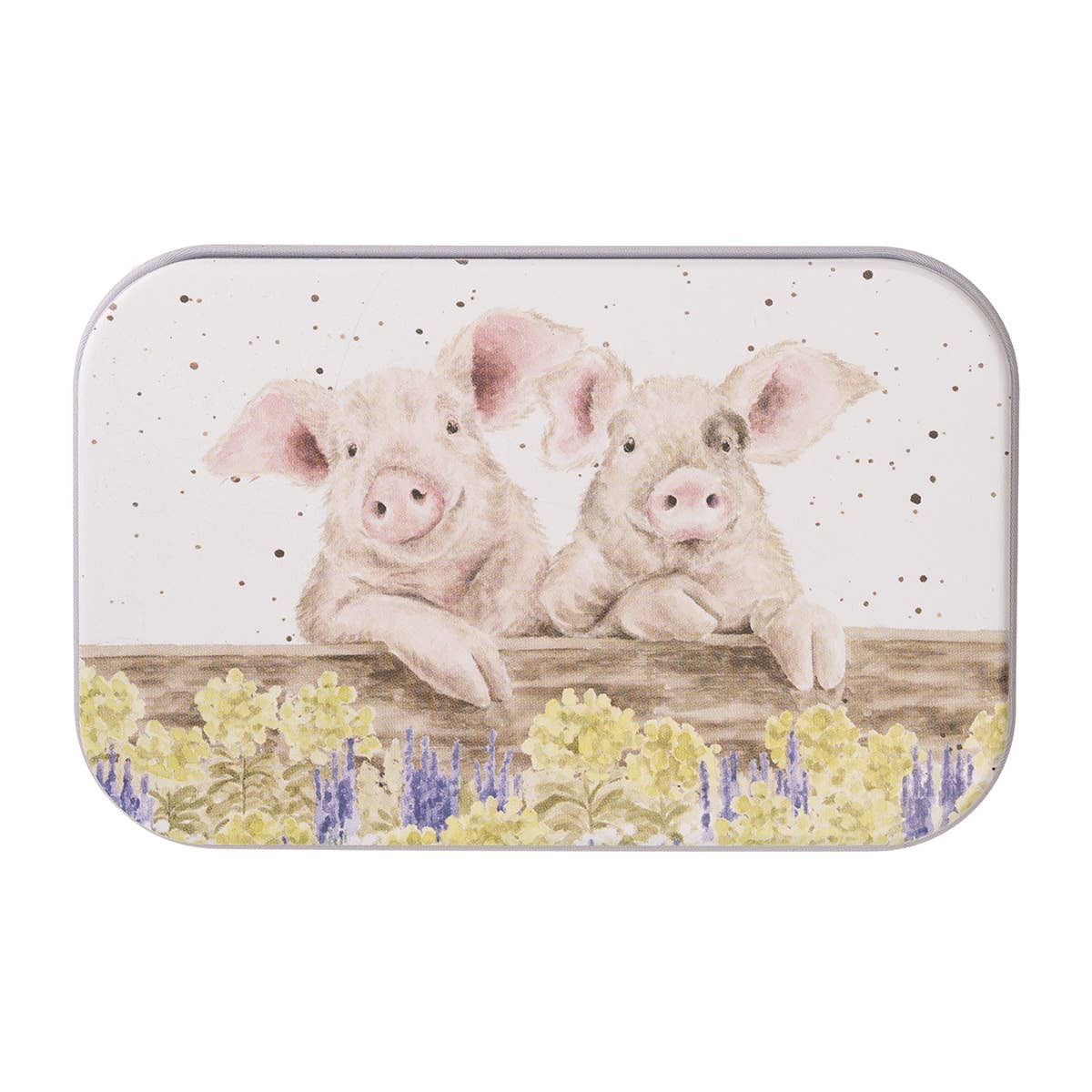 Mini Tin - Pig: Nosy Neighboars