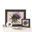 Coasters - The Thistles Watercolour Design