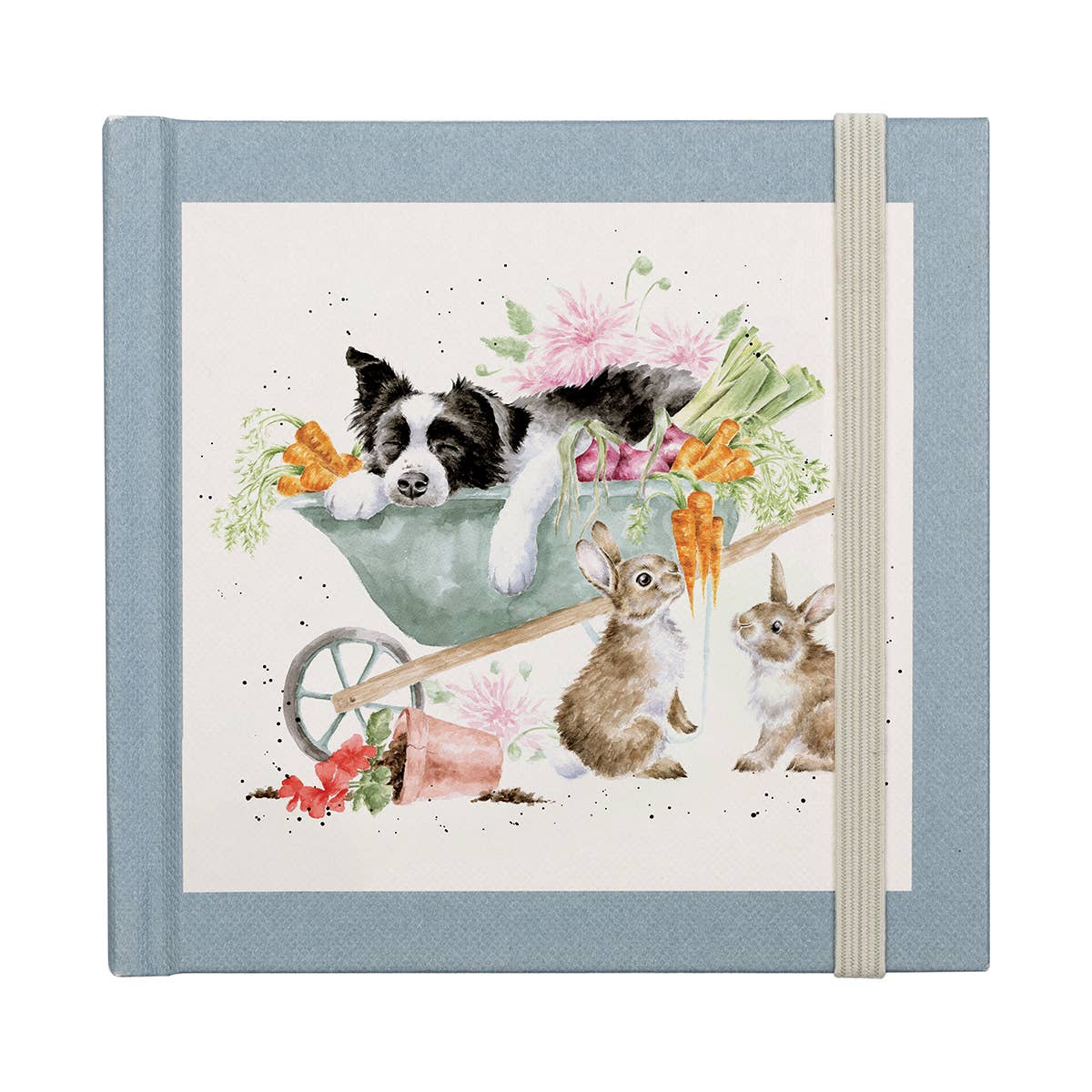 Password Book -  Border Collie and Rabbit 'Sleeping on the Job'