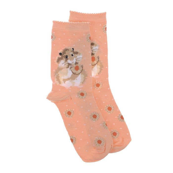 Socks Ladies - Hamster: Diet Starts Tomorrow