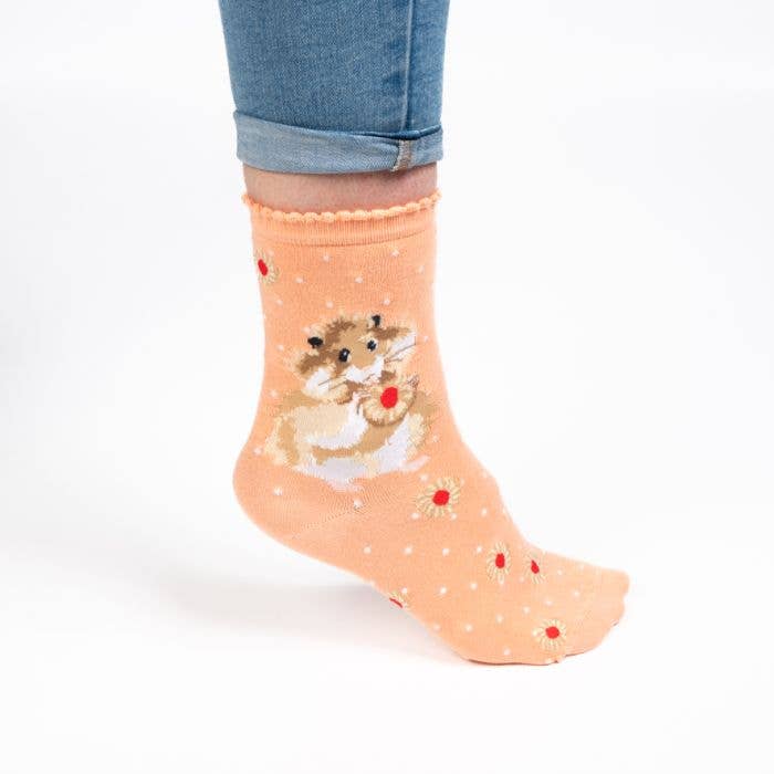 Socks Ladies - Hamster: Diet Starts Tomorrow