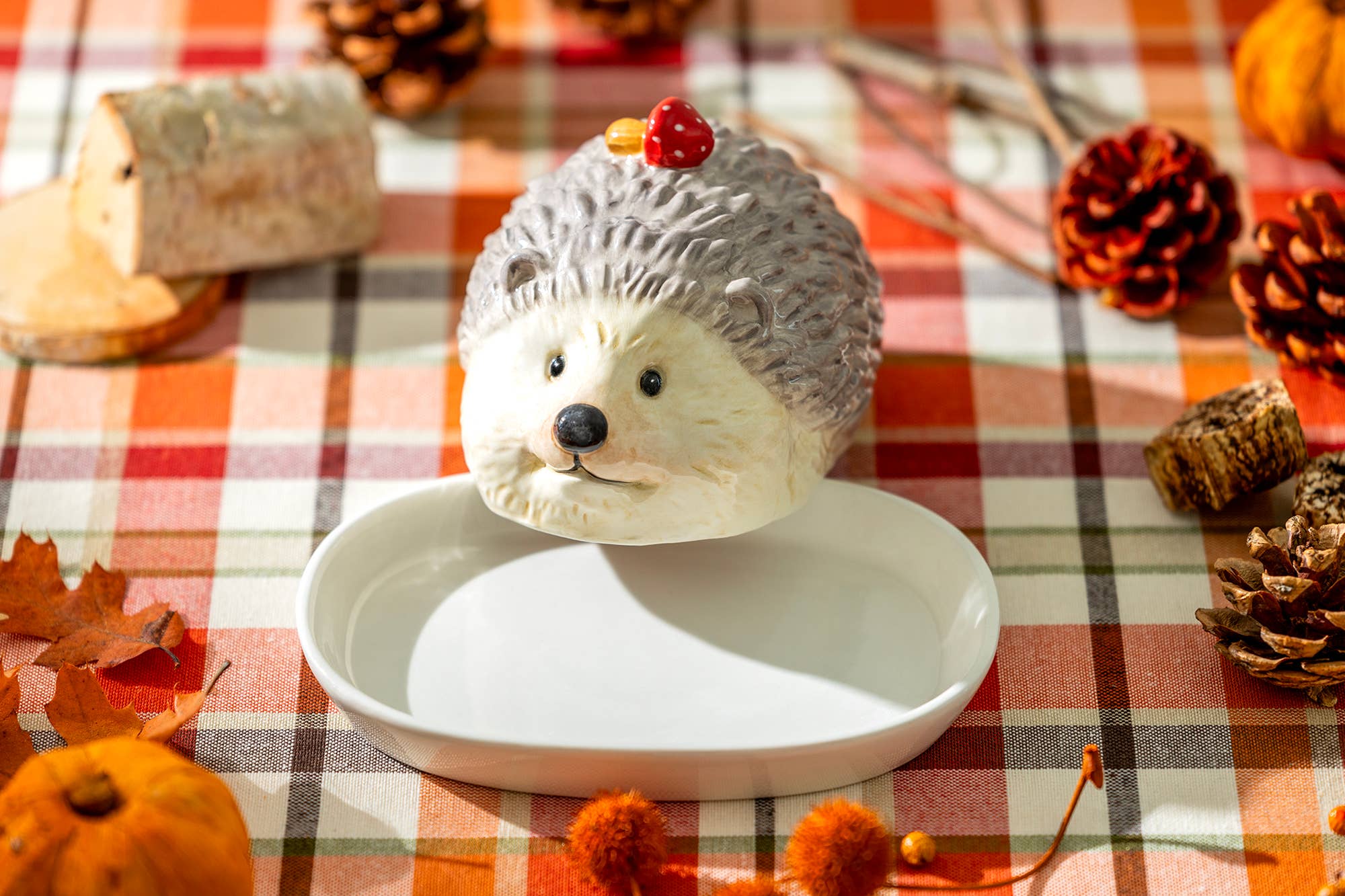 Butter Dish - Hedgehog with Mushroom