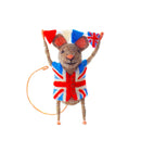 Mouse - Union Jack Bunting 4.5" x3"