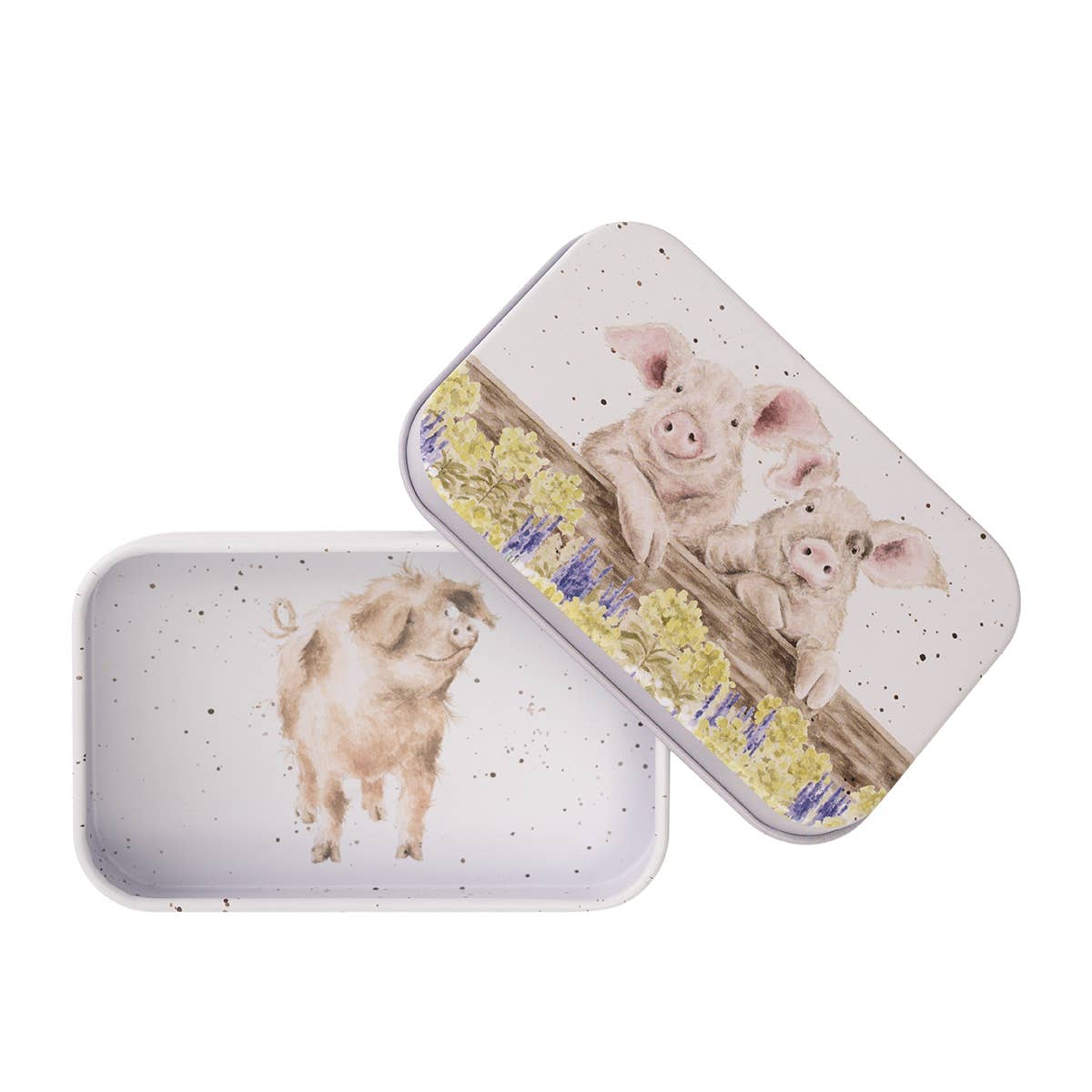 Pig Mini Tin Nosy Neighboars