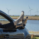 Sock Mens Black Labrador 'Walkies'