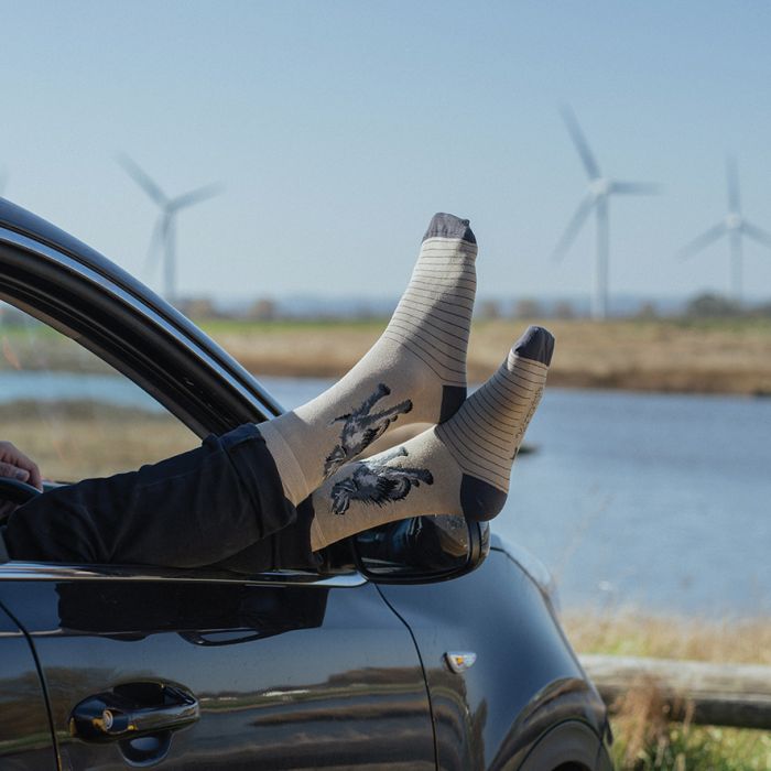 Sock Mens Black Labrador 'Walkies'