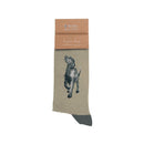Sock Mens Black Labrador 'Walkies'