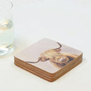 Coasters - Highland Cow (Set of 4)