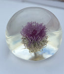 Paperweight - Custom Made Thistle Size 1.5 H" x 2.5" W