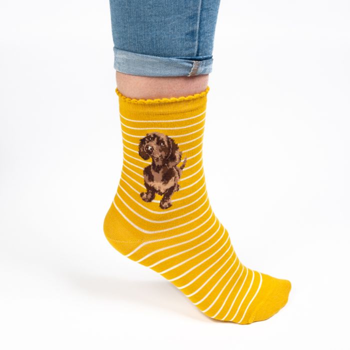 Sock Dog Dachshund  'Little One'