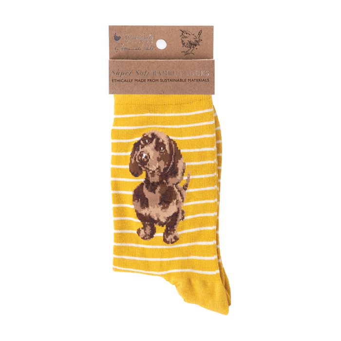 Socks - Ladies Dog Dachshund: Little One