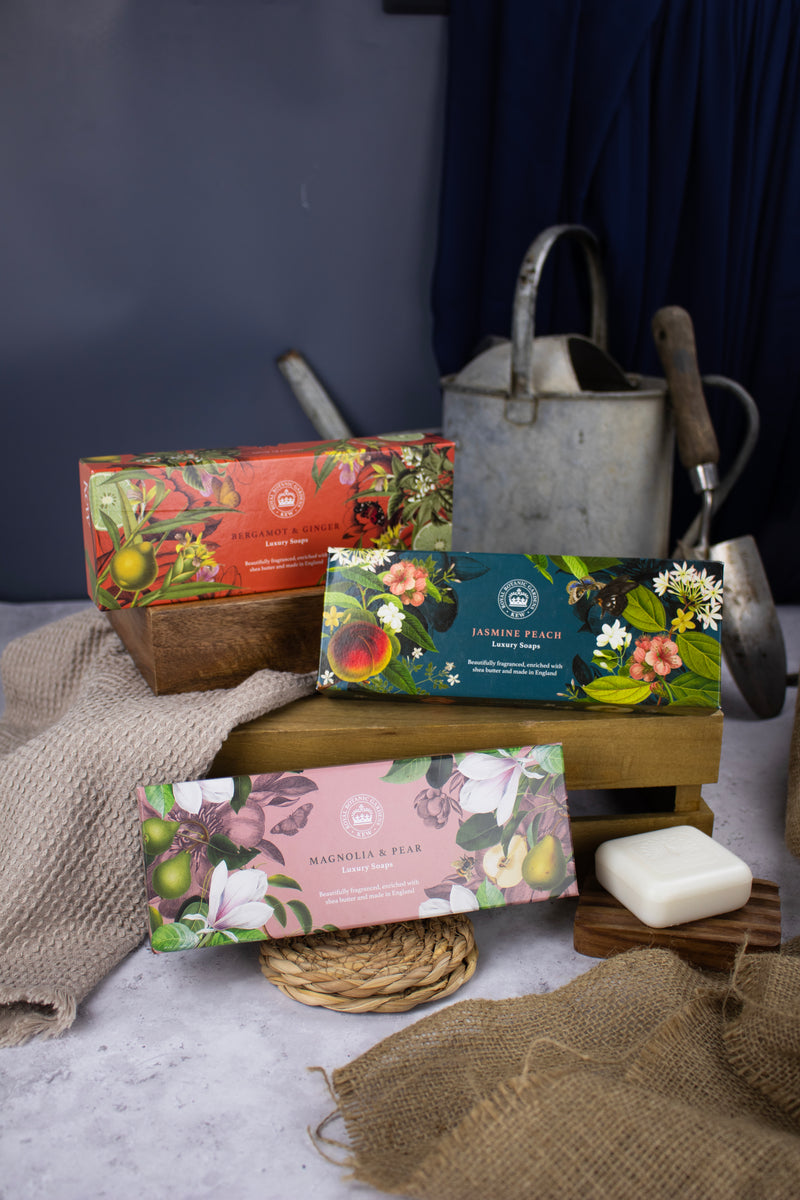 Kew Gardens Jasmine & Peach Triple Soap Gift Box 3 x 100g