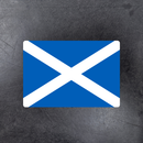 Magnet - Scotland St. Andrew’s Cross 5" x 3.5"