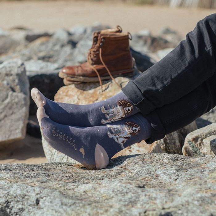 Sock Mens Spaniel 'Willow'