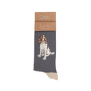 Sock Mens Spaniel 'Willow'