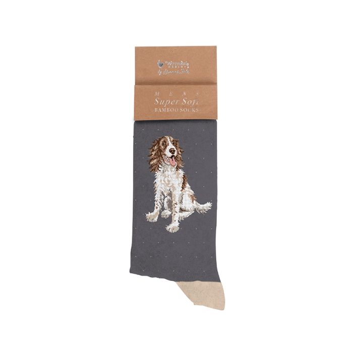 Sock Mens Spaniel 'Willow'