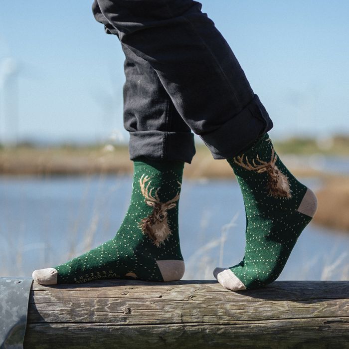 Socks (Men's) - Stag: Portrait of a Stag