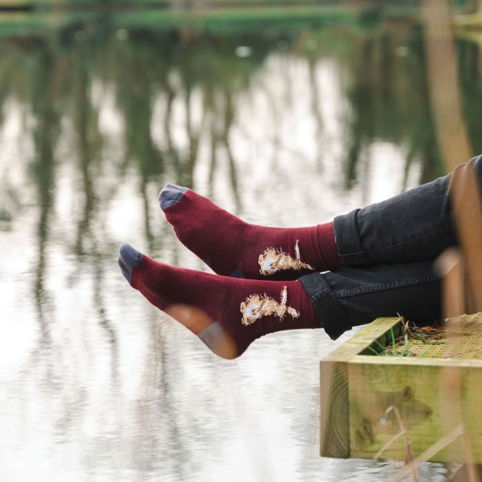 Sock Mens 'The Hare'