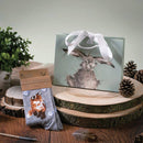 Socks Ladies - Fox: "Born To Be Wild"