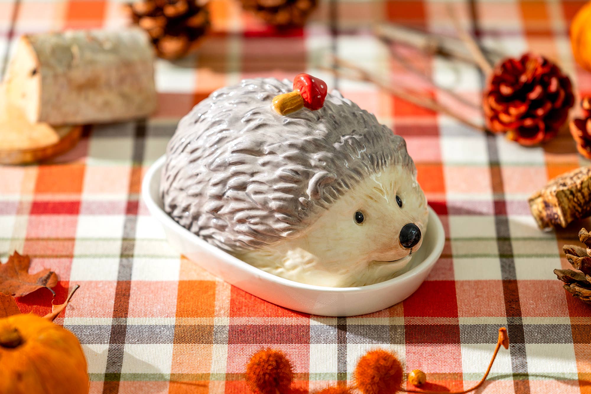Butter Dish - Hedgehog with Mushroom