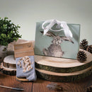 Socks Ladies - Dog: Hopeful Gray