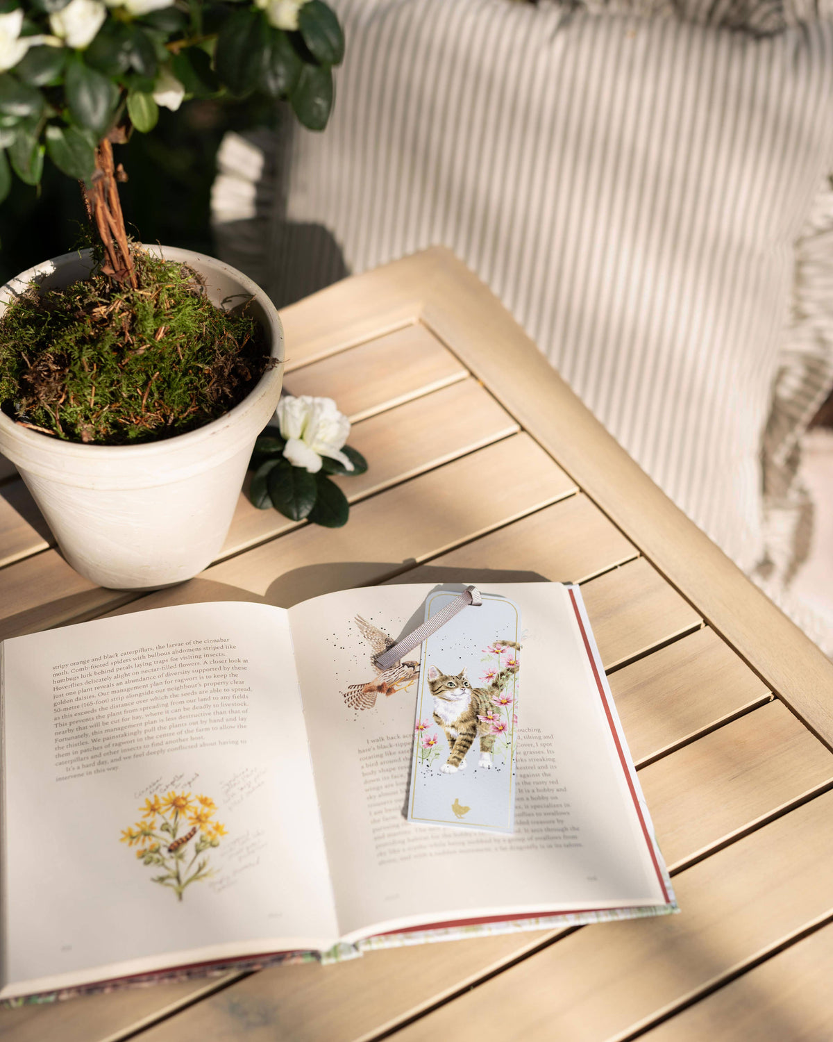 Cat Bookmark Harmony