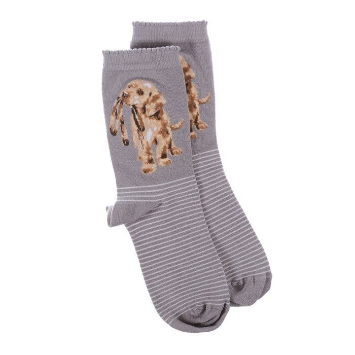 Socks Ladies - Dog: Hopeful Gray